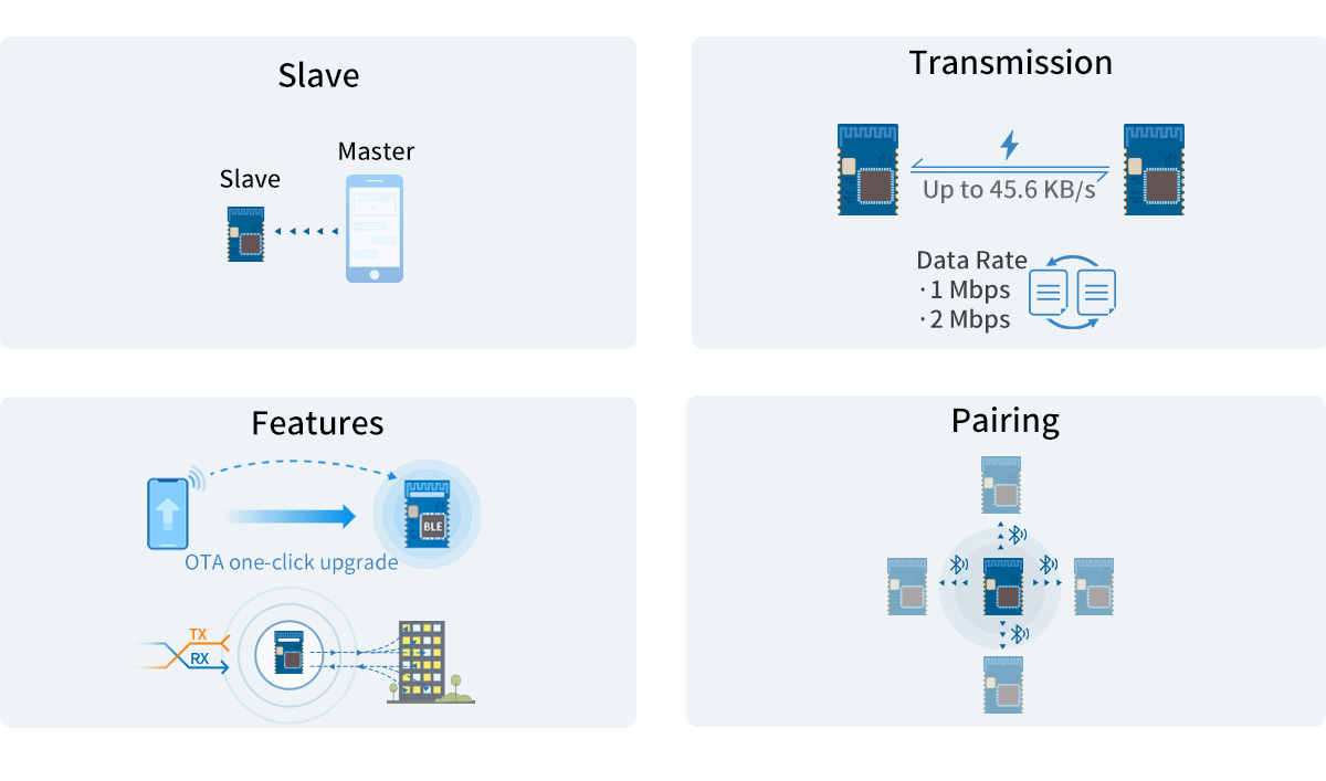 Transparent Transmission (Bridge) - & Direct-Driven Protocol