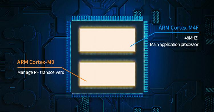 RF-BM-2651B1 CC2651R3 Module has dual-core processor