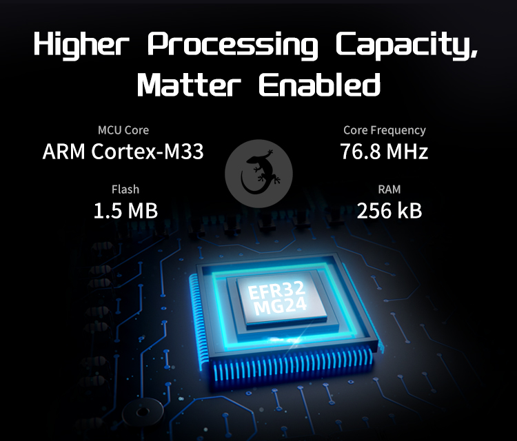 RF-BM-MG24B1/B2-higher processing capacity matter enabled